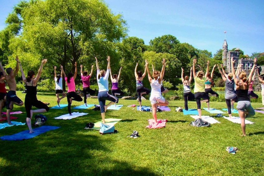 Picture 2 for Activity Central Park: Highest Rated Yoga Class in New York City!