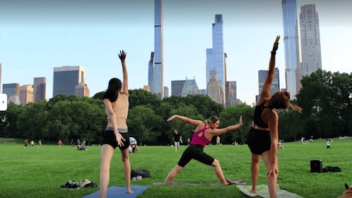 Central Park: Highest Rated Yoga Class in New York City!