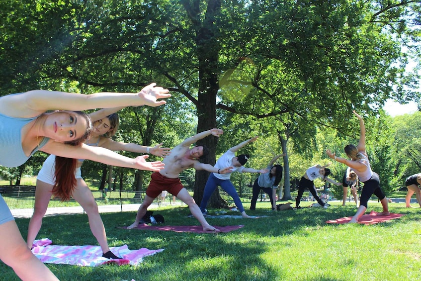 Picture 4 for Activity Central Park: Highest Rated Yoga Class in New York City!