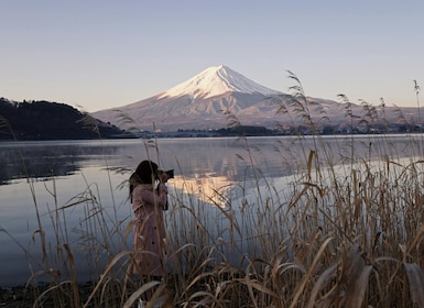 Tokyo: Mount Fuji Private Customisable Day Trip with Driver