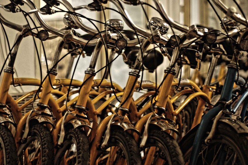 Picture 4 for Activity Krakow: Bike Rental for City Exploring and Sightseeing