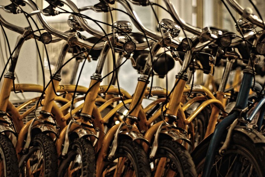 Picture 4 for Activity Krakow: Bike Rental for City Exploring and Sightseeing