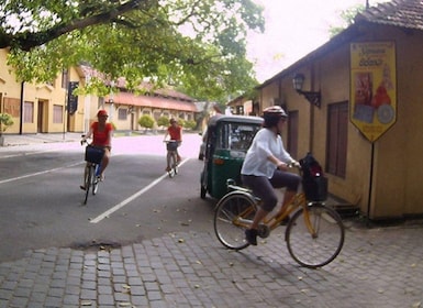 Ab Galle: Exklusive Dorf- und Lagunen-Radtour in Galle