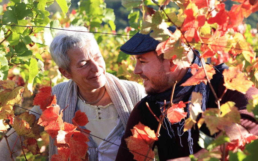 Picture 4 for Activity Alsace : Guided winery tour in Alsace - local wine tasting