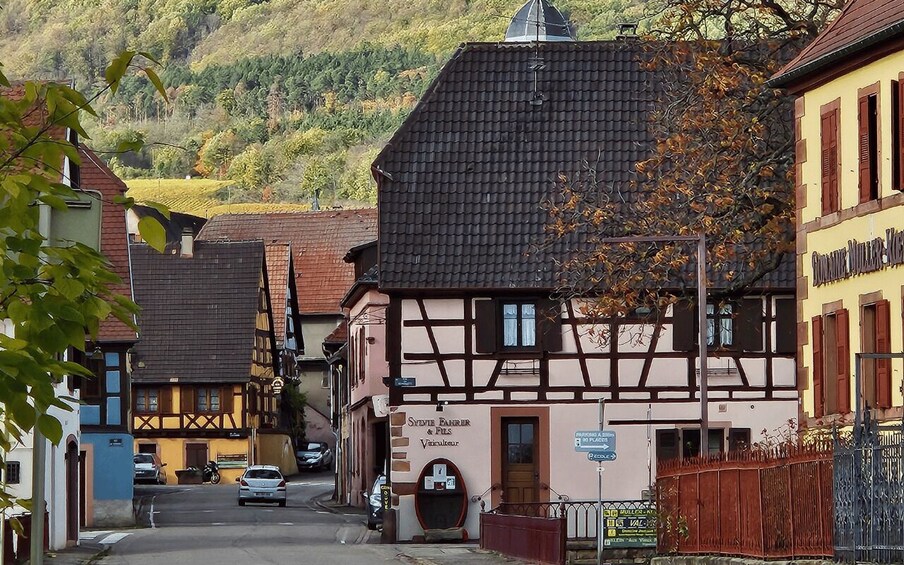 Picture 5 for Activity Alsace : Guided winery tour in Alsace - local wine tasting