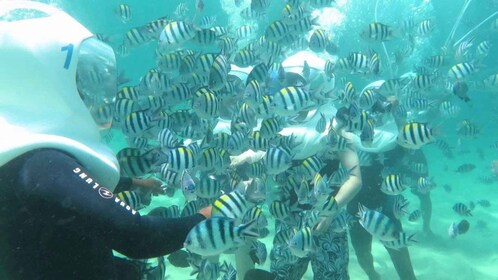 Nusa Dua Increíble Experiencia Sea Walker Recogida Gratuita