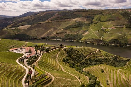 Quinta Nova: Douro Reserve Wine Tour & Tasting