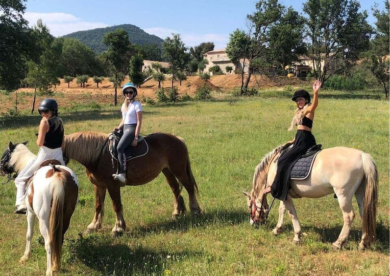 Horse back riding + wine tasting in the Maures Forest