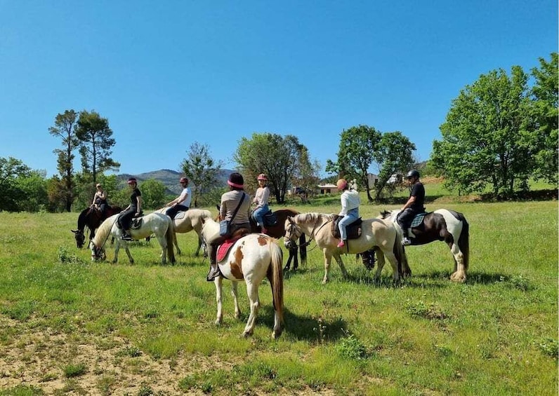 Horse back riding + wine tasting in the Maures Forest