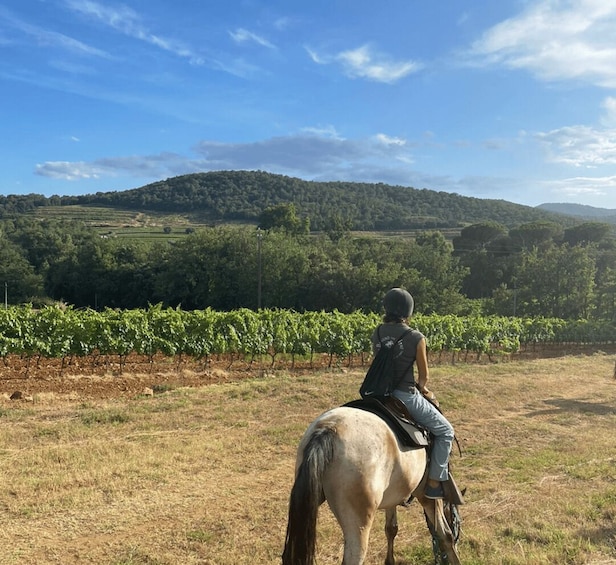 Picture 4 for Activity Horse back riding + wine tasting in the Maures Forest