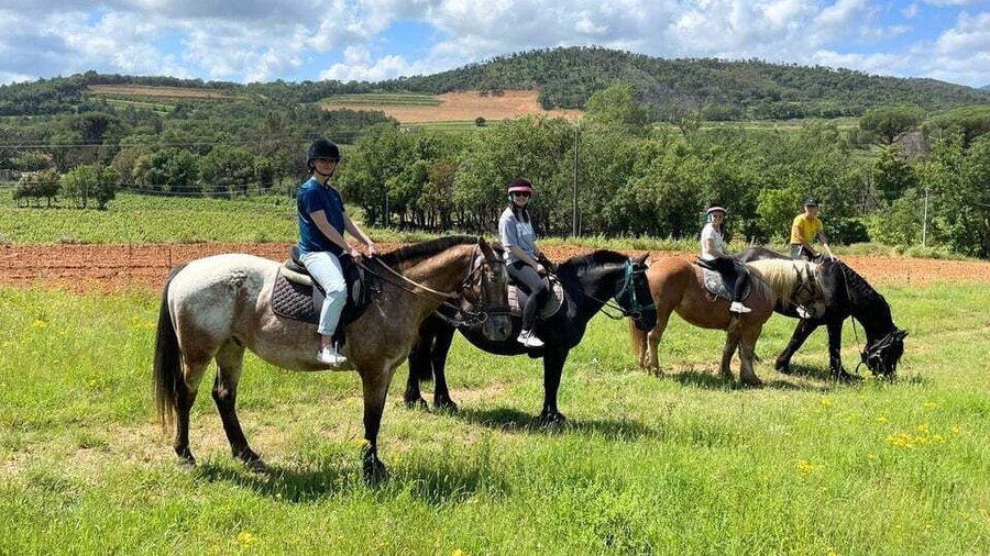 Horse back riding + wine tasting in the Maures Forest