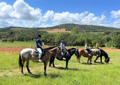 Horse back riding + wine tasting in the Maures Forest