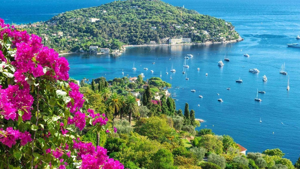 Picture 5 for Activity From Nice: Eze, Monaco and Monte Carlo Half Day Tour