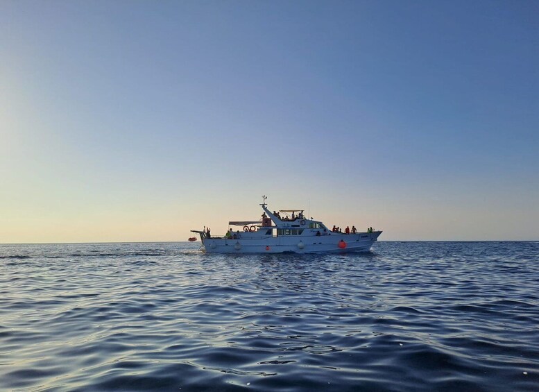 Picture 2 for Activity From Umag: Day Cruise to Poreč with Lunch and Swimming