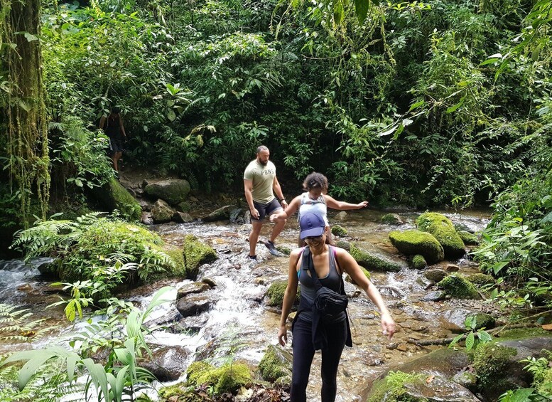 Picture 21 for Activity From Medellin Waterfalls: Guided Hiking Tour in Nature