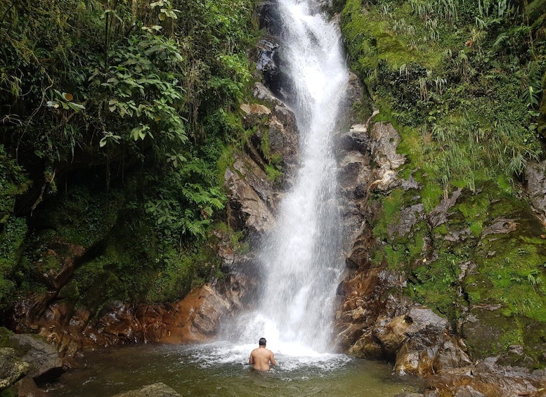 Picture 13 for Activity From Medellin Waterfalls: Guided Hiking Tour in Nature