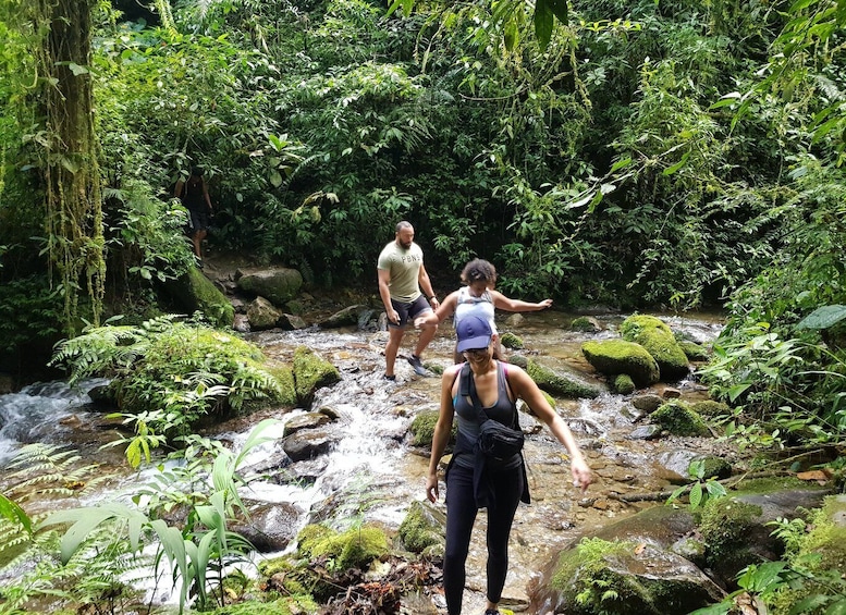 Picture 21 for Activity From Medellin Waterfalls: Guided Hiking Tour in Nature