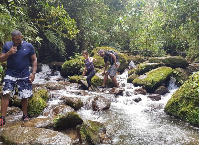 Picture 22 for Activity From Medellin: Guided Hiking Tour in Nature