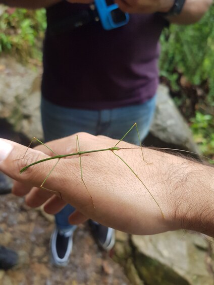 Picture 23 for Activity From Medellin Waterfalls: Guided Hiking Tour in Nature