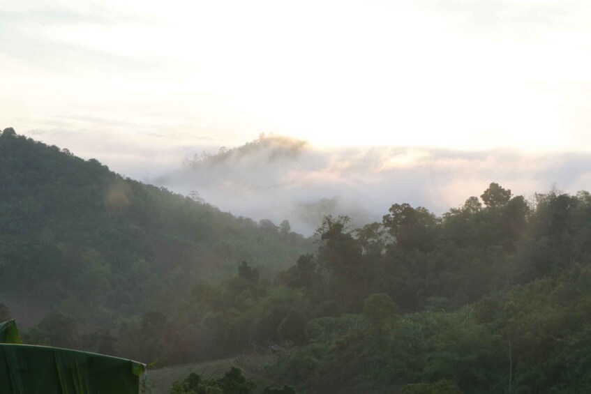 Picture 7 for Activity Chiang Mai: 3 Days 2 Nights Experience Trek Mae Taeng Area