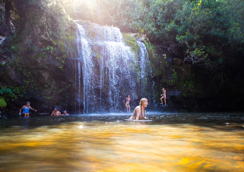 Zip & Dip Waterfall Adventure