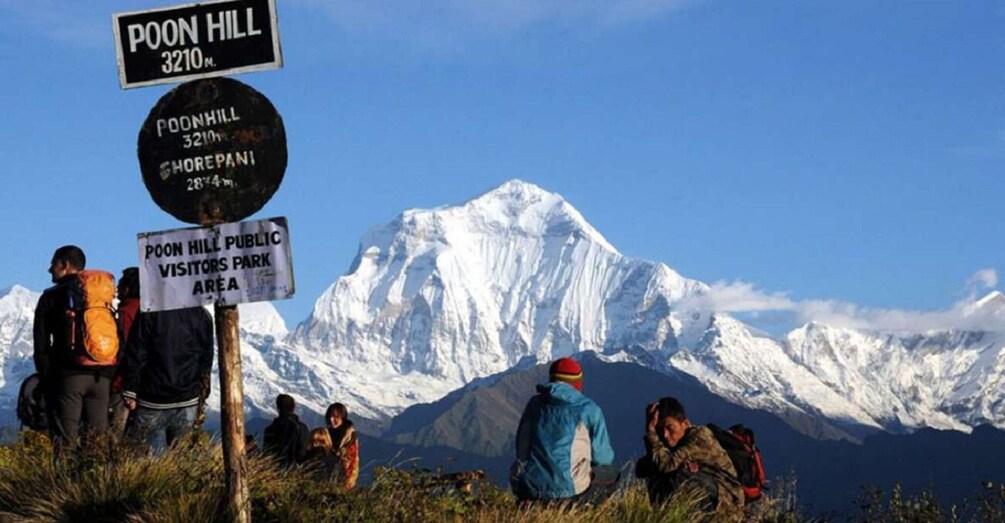 Picture 6 for Activity Pokhara: 3-Day Ghorepani, Poonhill, & Ghandruk Village Trek