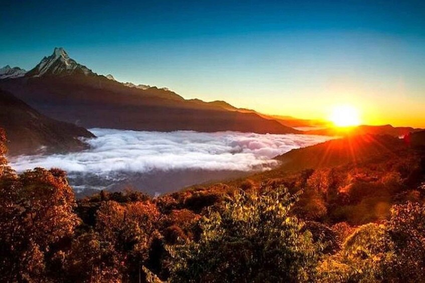 Picture 19 for Activity Pokhara: 3-Day Ghorepani, Poonhill, & Ghandruk Mountain Trek