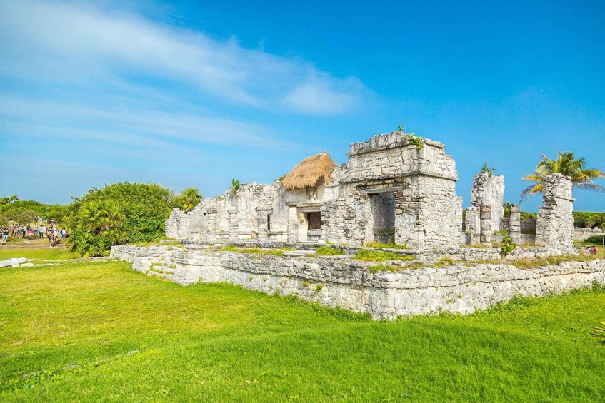 Picture 5 for Activity Riviera Maya: Tulum Ruins, Sea Turtles & Cenote Day Tour