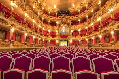 Tour privado de Mozart y compositores alemanes en Múnich