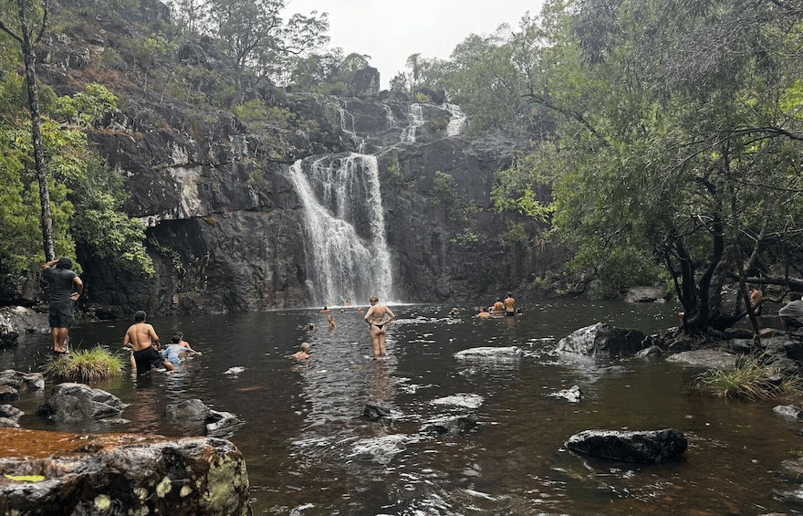 Airlie Beach: Roundtrip Shuttle to Cedar Creek Falls