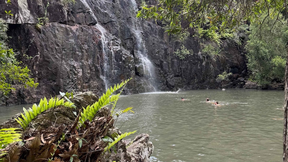 Picture 3 for Activity Airlie Beach: Roundtrip Shuttle to Cedar Creek.