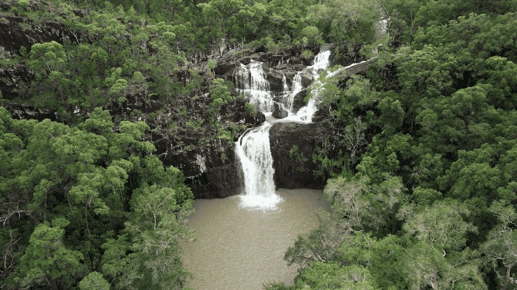 Picture 7 for Activity Airlie Beach: Roundtrip Shuttle to Cedar Creek.