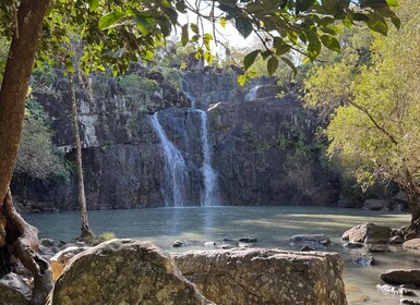 Airlie Beach: ทัวร์ไปกลับซีดาร์ครีก