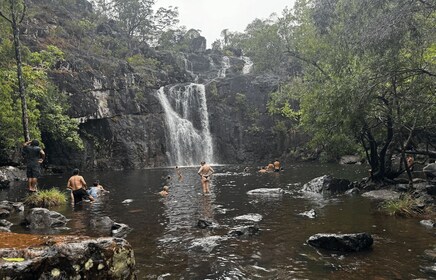 Airlie Beach: Cedar Creek.