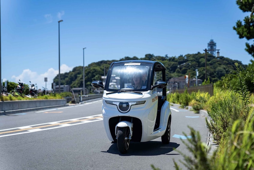 Picture 3 for Activity EMOBI New option for sightseeing: Electric Tuk-tuk in Japan