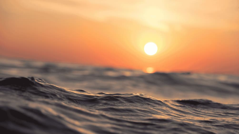 Marseille: Sunset Frioul Archipelago Boat Cruise