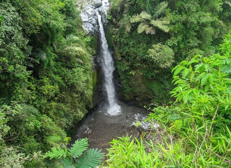 Picture 5 for Activity Yogyakarta : borobudur & kedung kayang waterfall