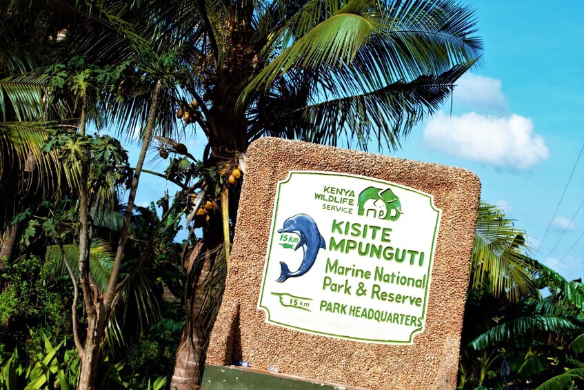 Picture 3 for Activity From Mombasa: Kisite Mpunguti Marine Park and Wasini Island