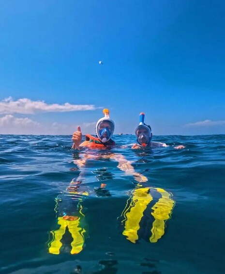 Picture 4 for Activity From Mombasa: Kisite Mpunguti Marine Park and Wasini Island