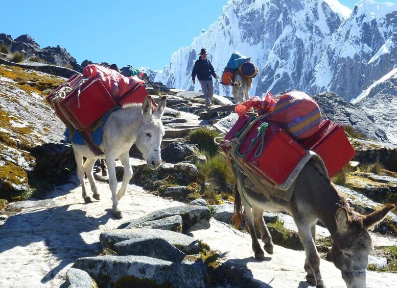 Picture 2 for Activity From Ancash: Trekking Santa Cruz Alpamayo |11Days-10Nights|