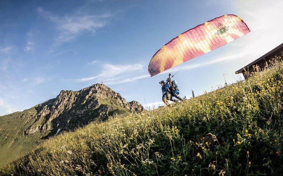 Picture 2 for Activity Fieberbrunn: Paragliding