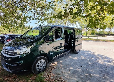 Scenic Shuttle: Lucerne to Interlaken Transfer Service