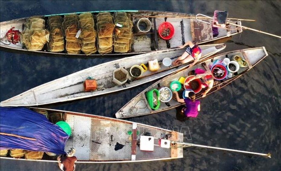 Picture 2 for Activity Sunrise floating market on Tam Giang lagoon