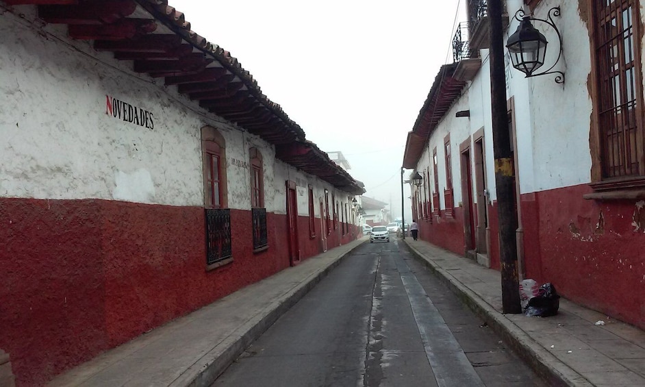 Picture 3 for Activity Patzcuaro - Janitzio Tour to watch the "butterfly nets"