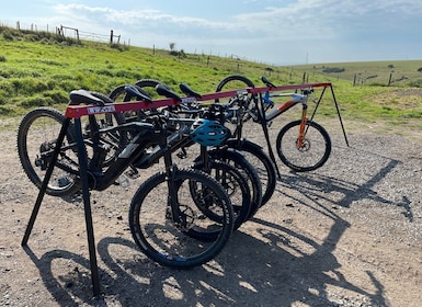 Brighton: Electric Mountain Bike Rental