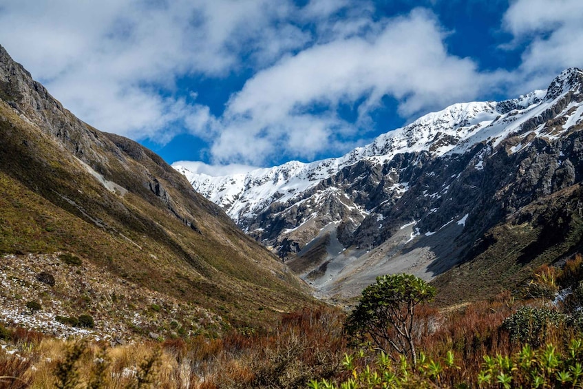 Picture 3 for Activity From Christchurch: Arthur's Pass and Tranzalpine Day Tour