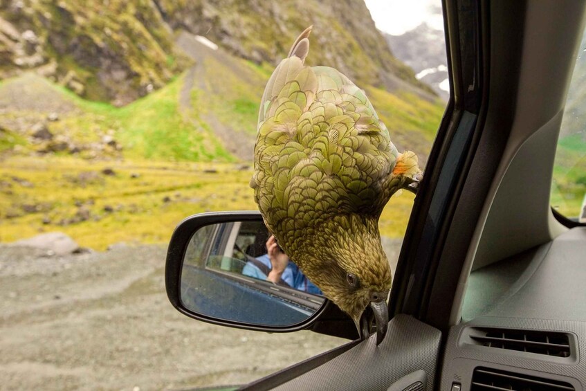 Picture 5 for Activity From Christchurch: Arthur's Pass and Tranzalpine Day Tour