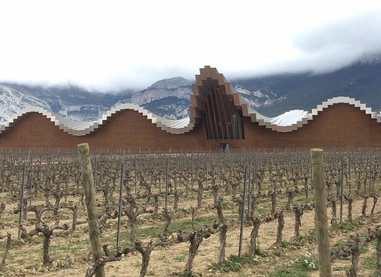 Picture 10 for Activity From Bilbao: Rioja Architecture and Wine Tour