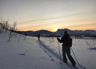 Tromsø: ทัวร์สกีนอร์ดิกแบบป่าสำหรับผู้เริ่มต้น