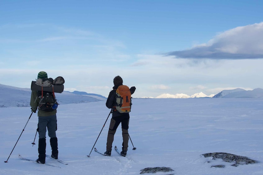 Picture 5 for Activity Tromsø: Beginner-Friendly Nordic Wilderness Skiing Tour